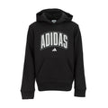 Collegiate Fleece Hooded Pullover - Youth