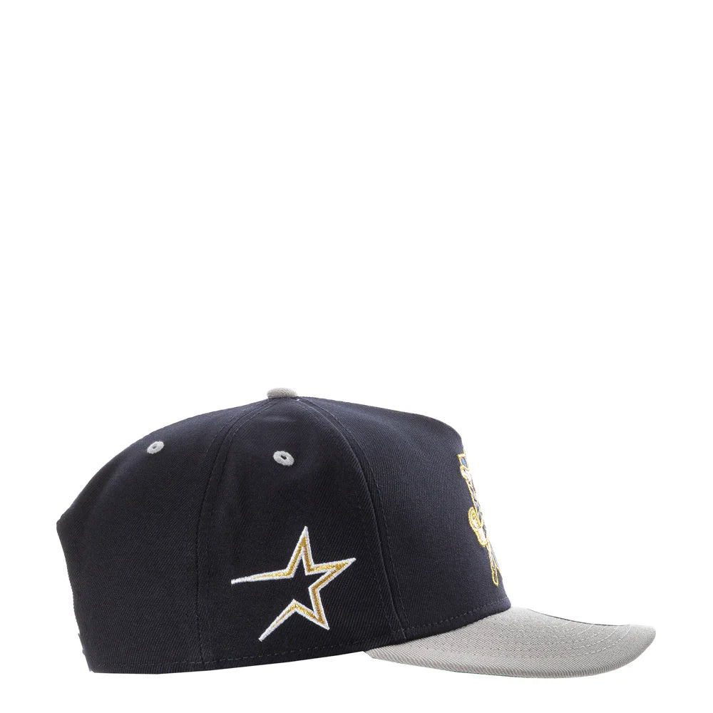 Astros Craig Biggio 2-Tone OTC 950 A-Frame