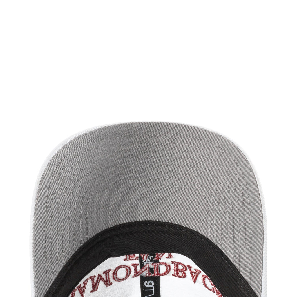 Diamondbacks Team Fan 920