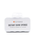 Instant Shine Sponge