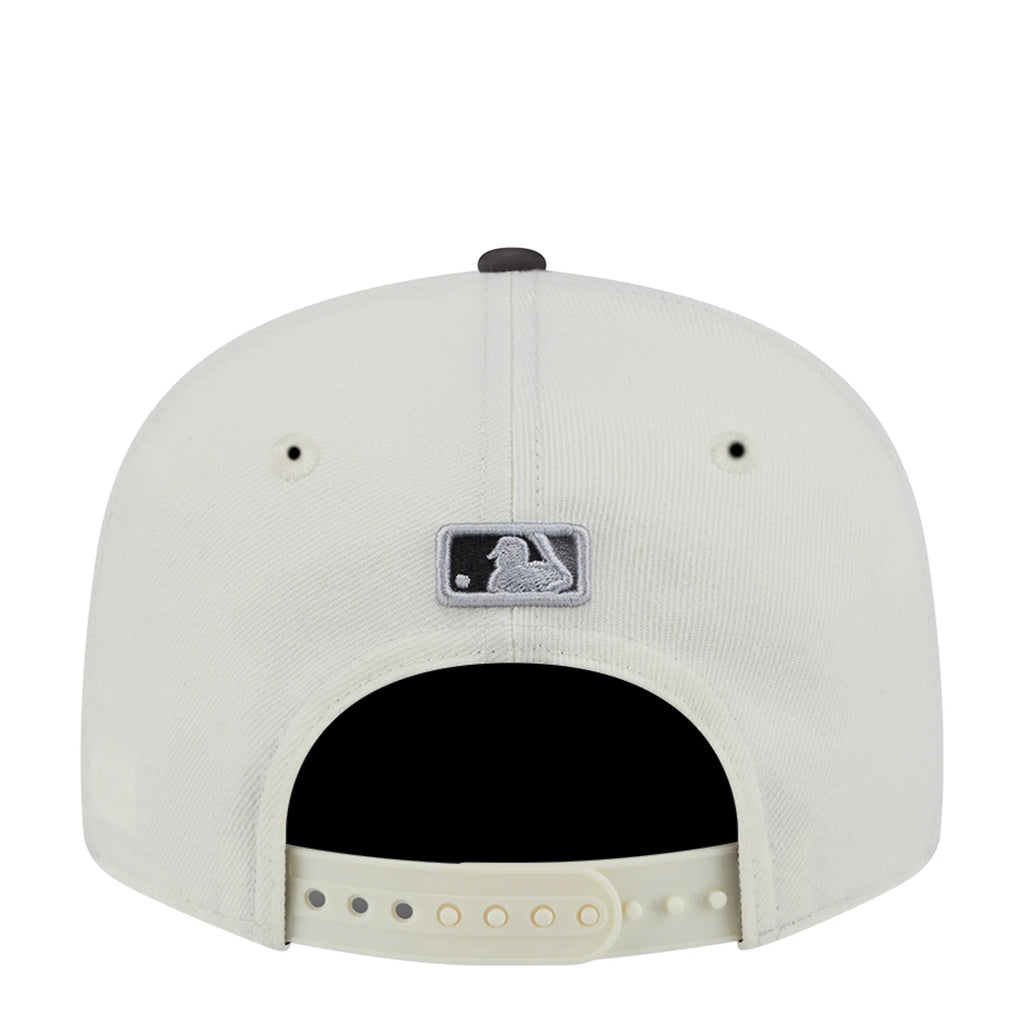 Astros Color Develop 2-Tone 950