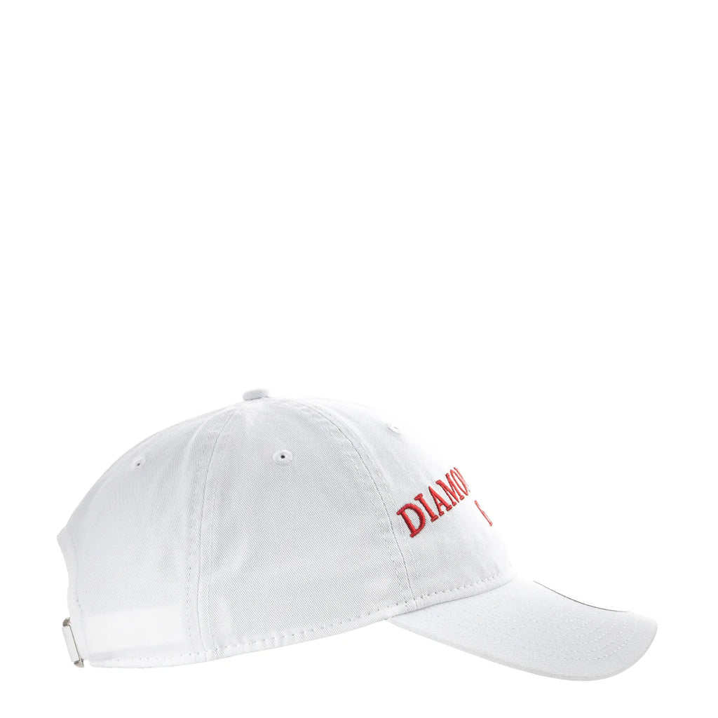 Diamondbacks Team Fan 920