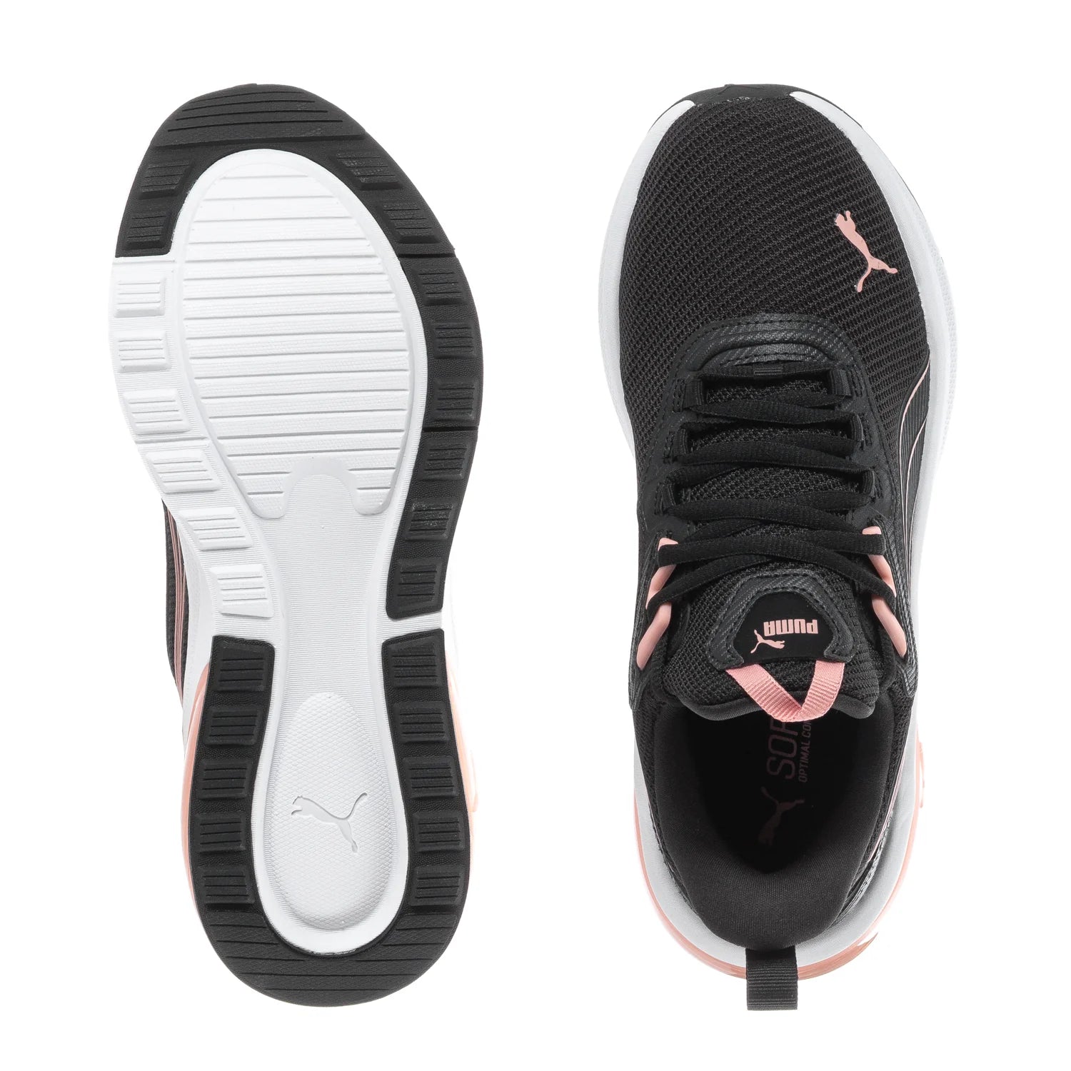 Seeker - Womens