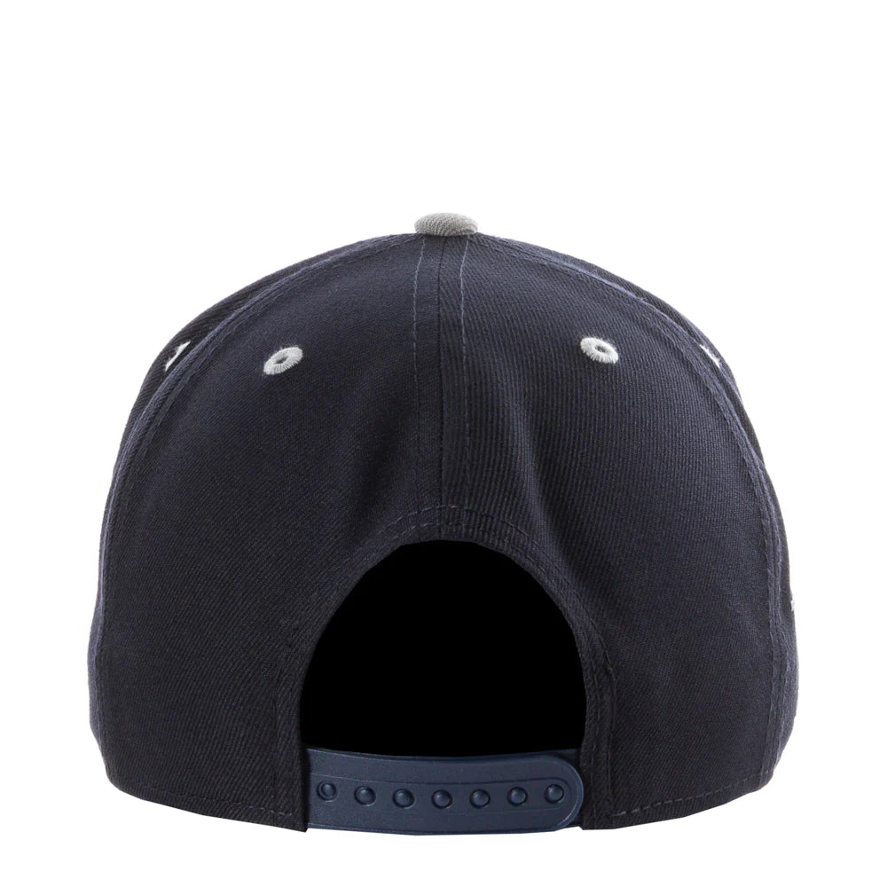 Astros Craig Biggio 2-Tone OTC 950 A-Frame