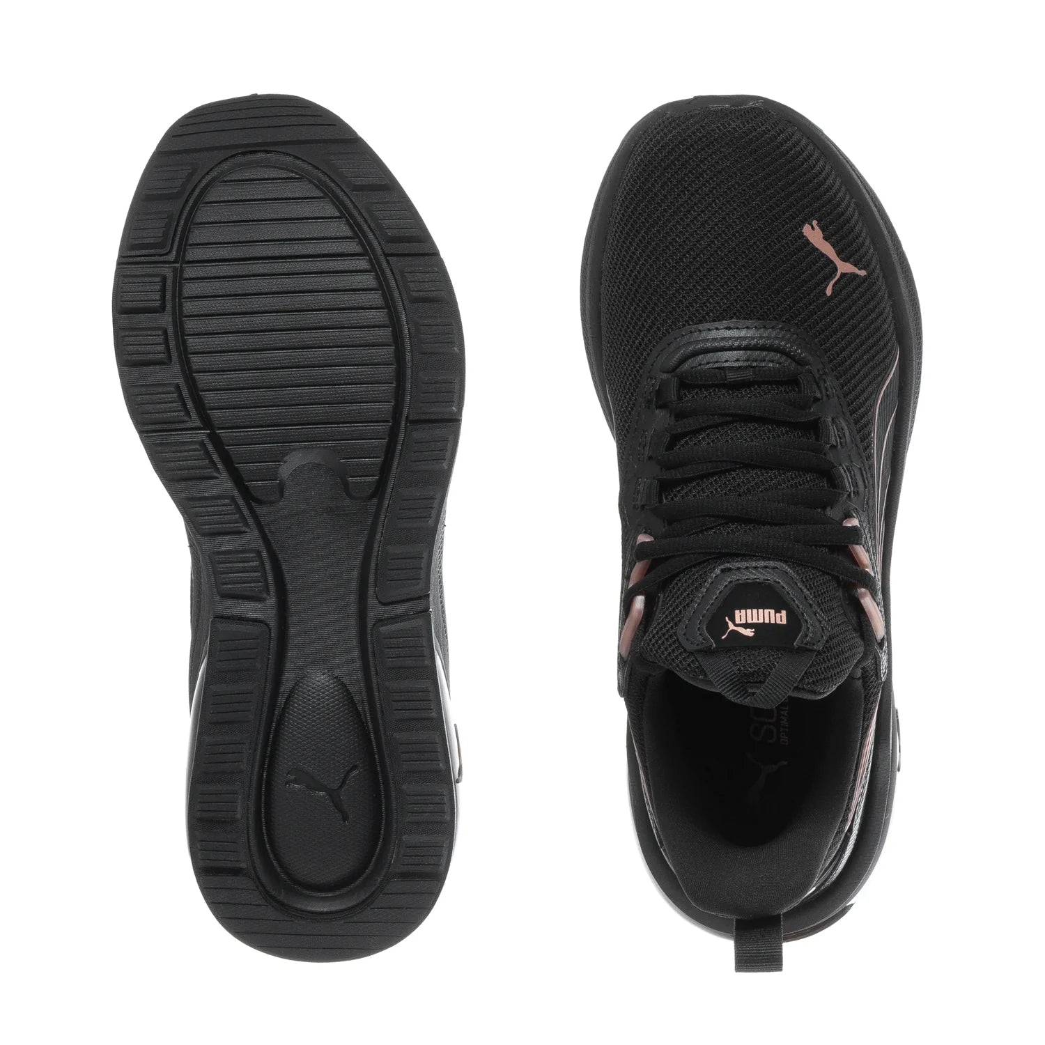 Seeker - Womens