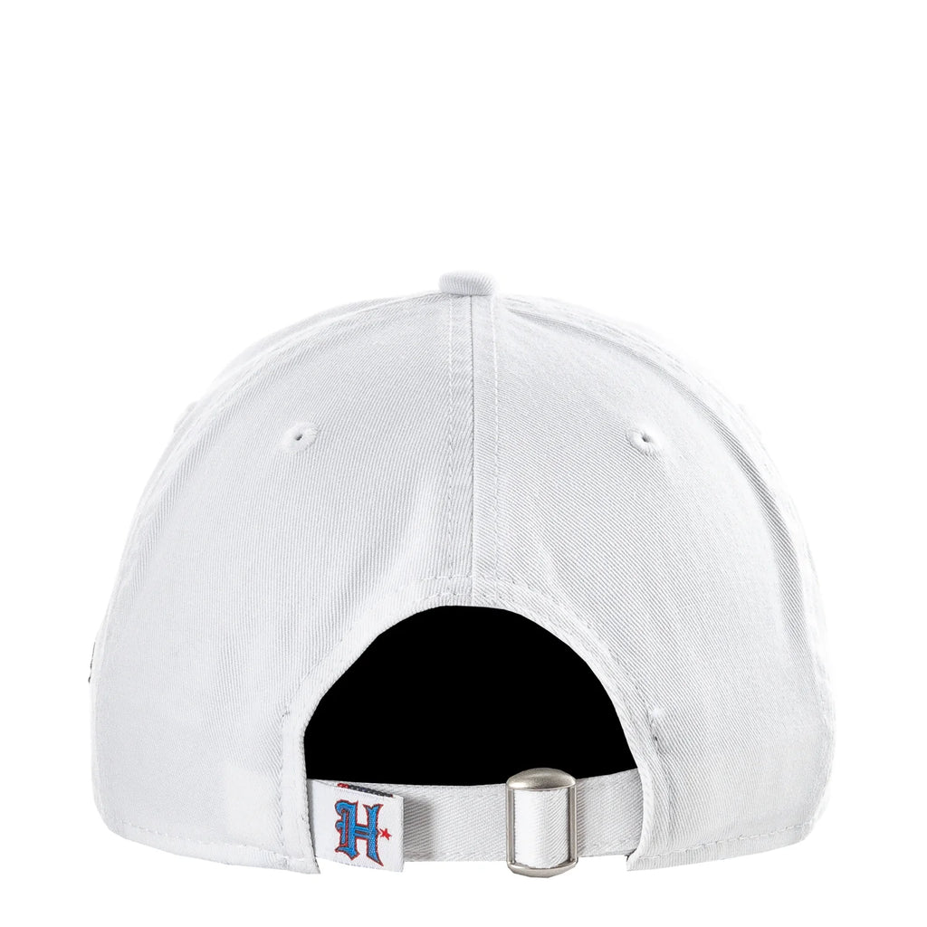 Texans Team Fan 920
